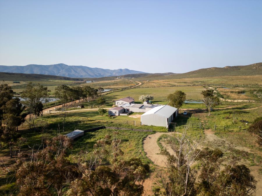 Grazing and fenced camps