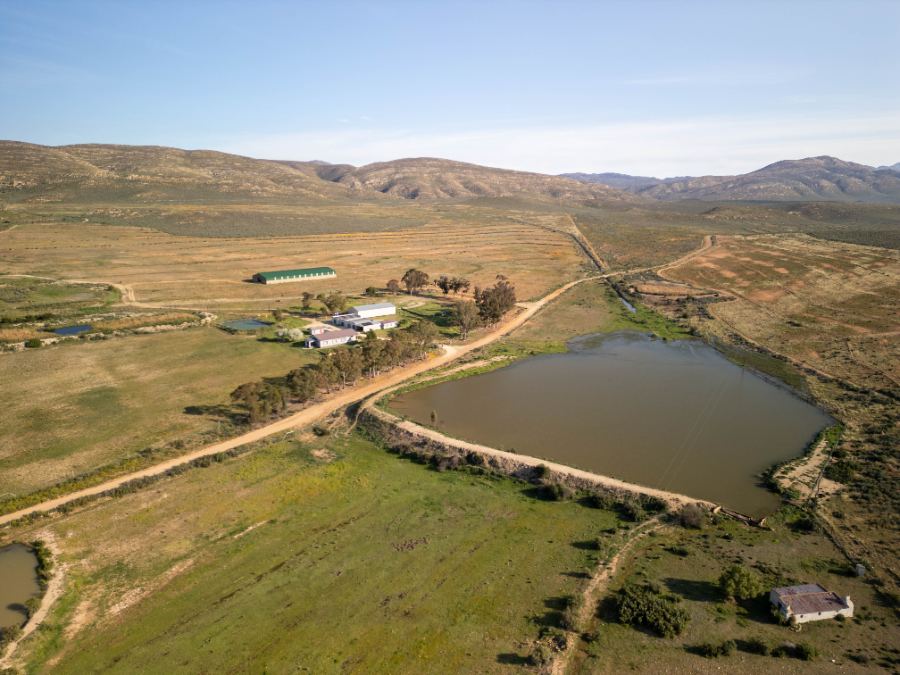 Open veld and mountain backdrop