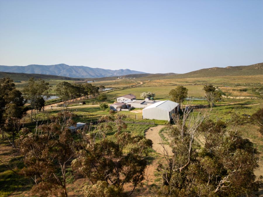 Sheds, yard and access road