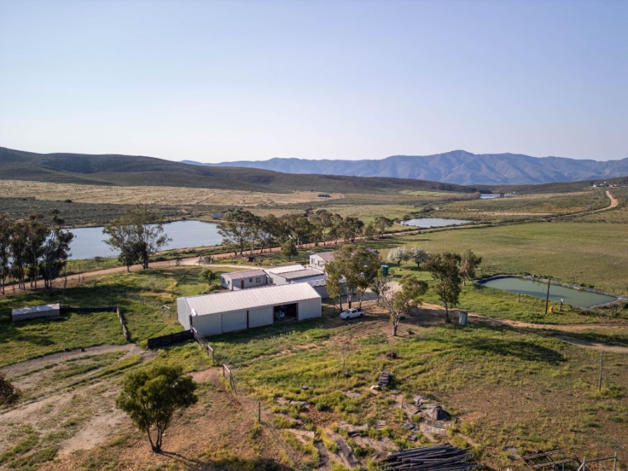 The farm road running through the veld
