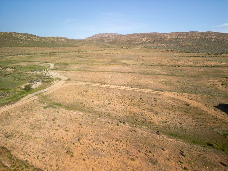 Grazing veld and farm track running toward the hills
