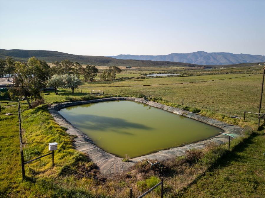 Lined reservoir dam beside the grazing camps